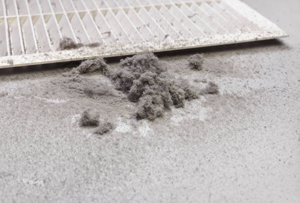 Best Air Duct Cleaning Company Near Me  in Spring Grove, MN