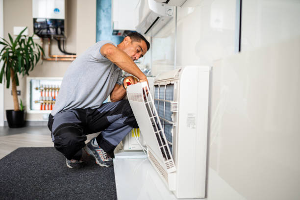 Best Best Air Duct Cleaning Company  in Spring Grove, MN