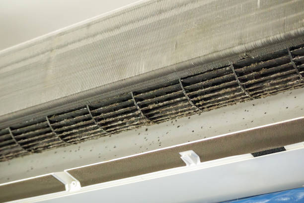 Best Air Duct Cleaning Near Me  in Spring Grove, MN