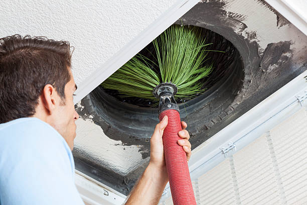 Best Air Duct Cleaning Company Near Me  in Spring Grove, MN