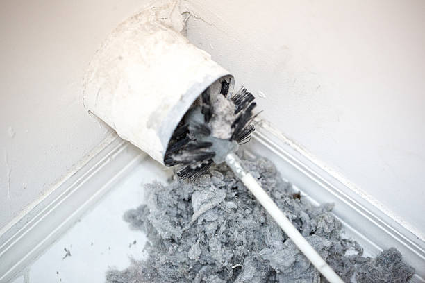 Best HVAC Duct Inspection Services  in Spring Grove, MN